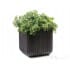 Keter Wood Look Cube Planter L 40054370769929