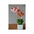 Орхидея Gasper 45 см искусственная в керамическом горшке розовый