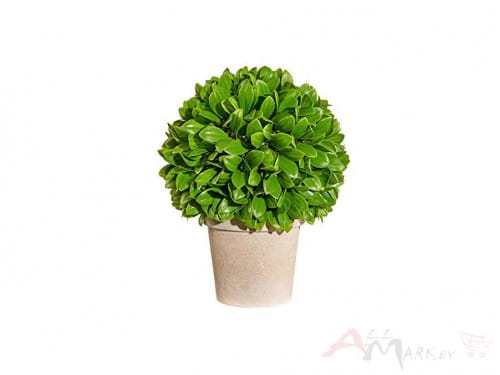 Растение Gasper Blattbusch 28 см искусственное в горшке зеленый