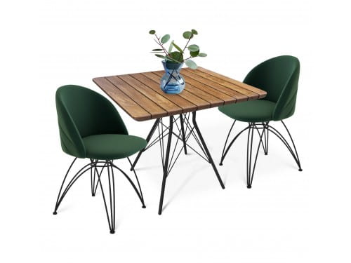 Стол со стульями SHT-DS114 лиственно-зеленый / черный муар / браш.корич